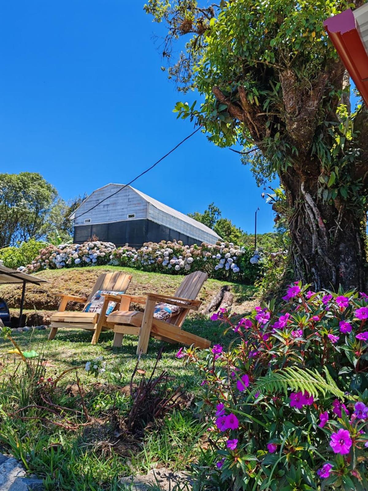 Chalets Vistas Del Poas Ερέδια Εξωτερικό φωτογραφία